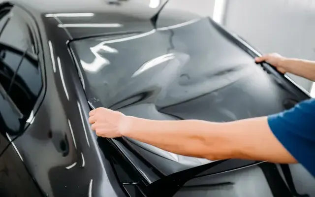 Window Tinting Brandon Fl